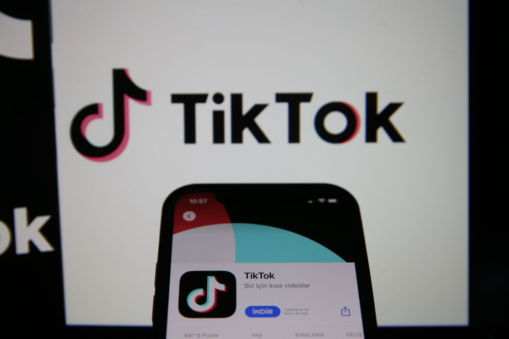 Se ha dado a conocer el origen del meme viral en TikTok protagonizado por un gato negro. ¿Ha tenido la oportunidad de ver a este famoso minino en acción?
