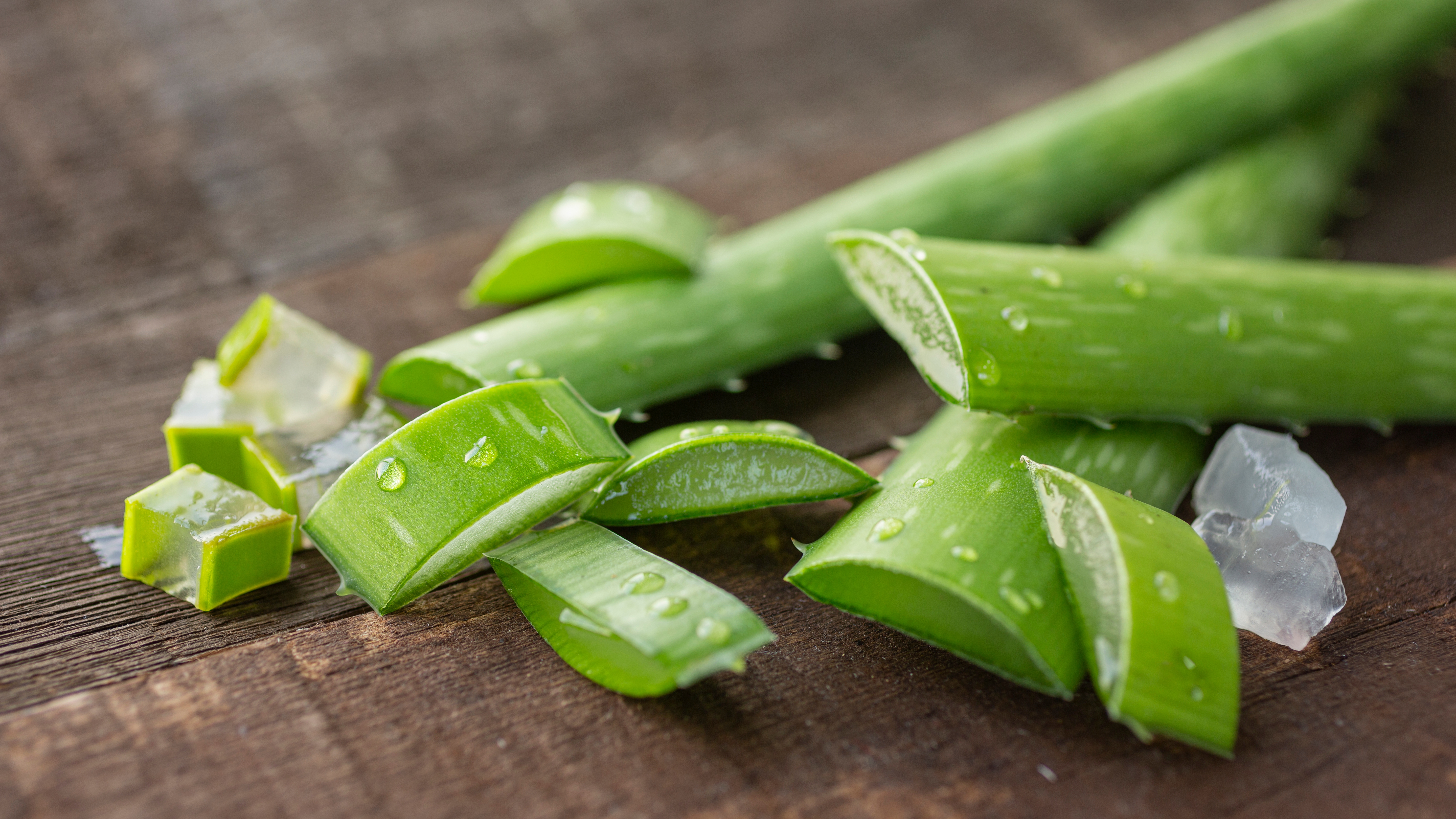 Aloe vera