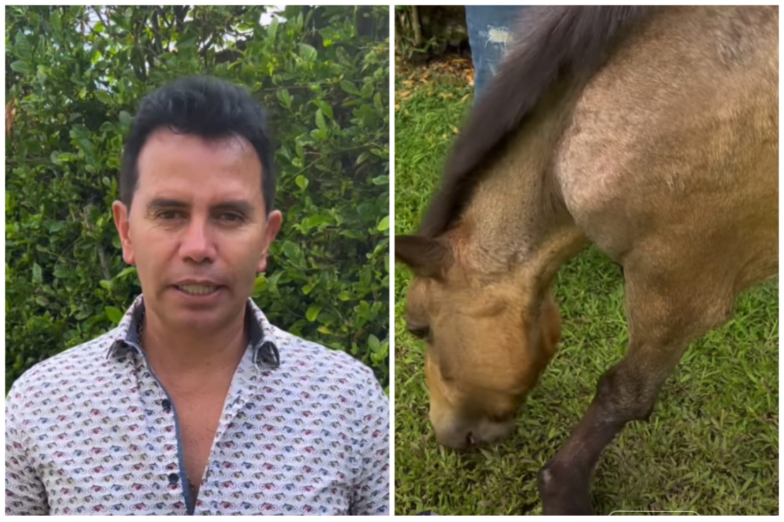 El artista pereirano le puso nombre al caballo: Valentino