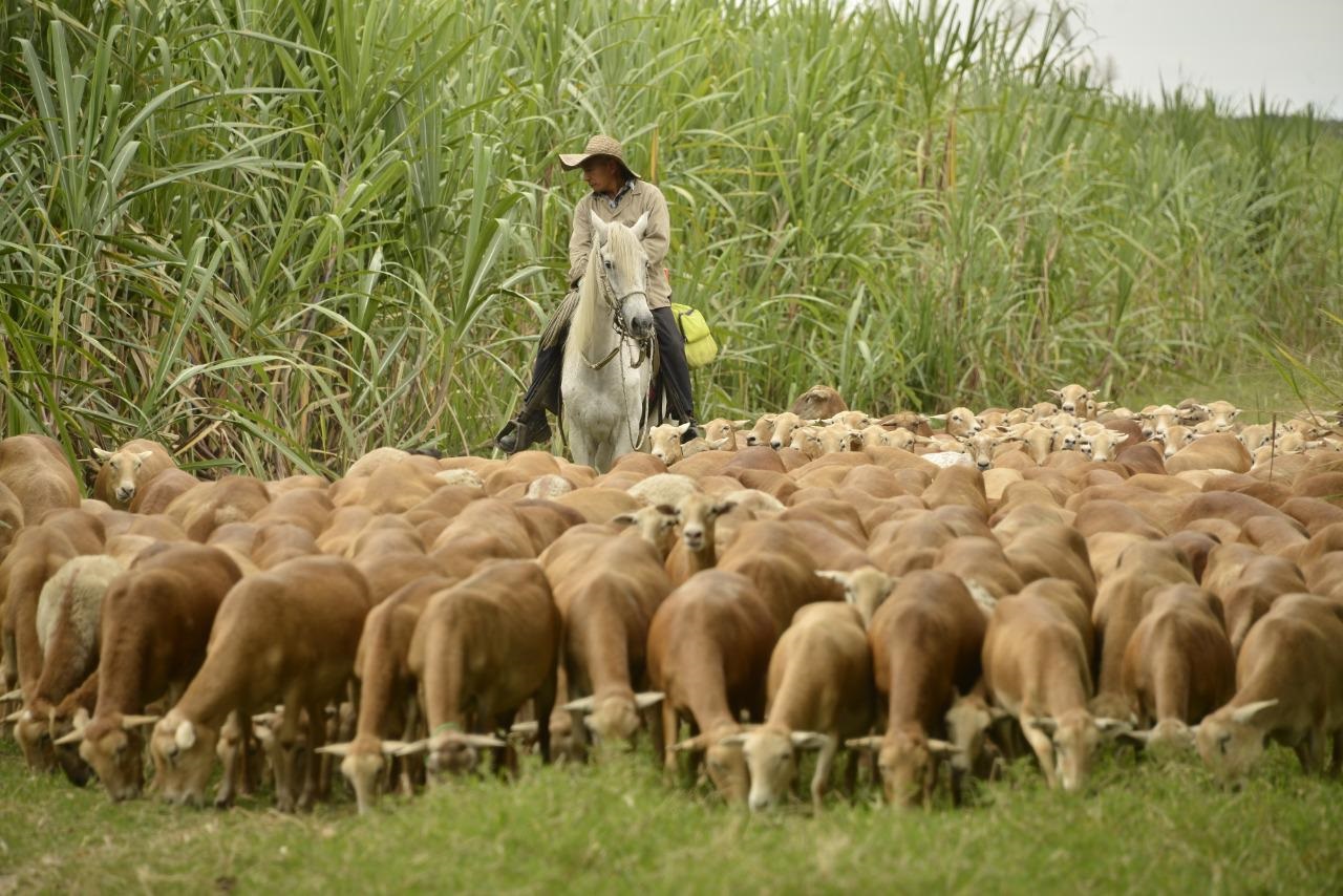Reserva natural Hatico, en el Valle del Cauca.