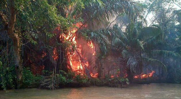 Grave incendio arrasa con las selvas de Chocó. Un gran incendio arrasa con las selvas vírgenes del municipio de Unguia.