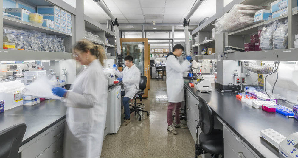 Actualmente, JLABS San Diego es el hogar de 59 empresas innovadoras, con 60 empresas de ex-alumnos desde su inicio en 2012.