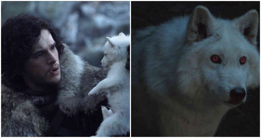 Por qué Jon Snow no se despidió de Ghost en Game of Thrones?