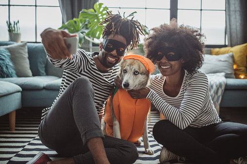 Según Andrea Millán, experta del área de cultura del Instituto Distrital de Protección Animal, IDPYBA, no es recomendable ponerles pelucas, accesorios o disfraces porque para los animales de compañía esta práctica puede resultar incómoda y molesta