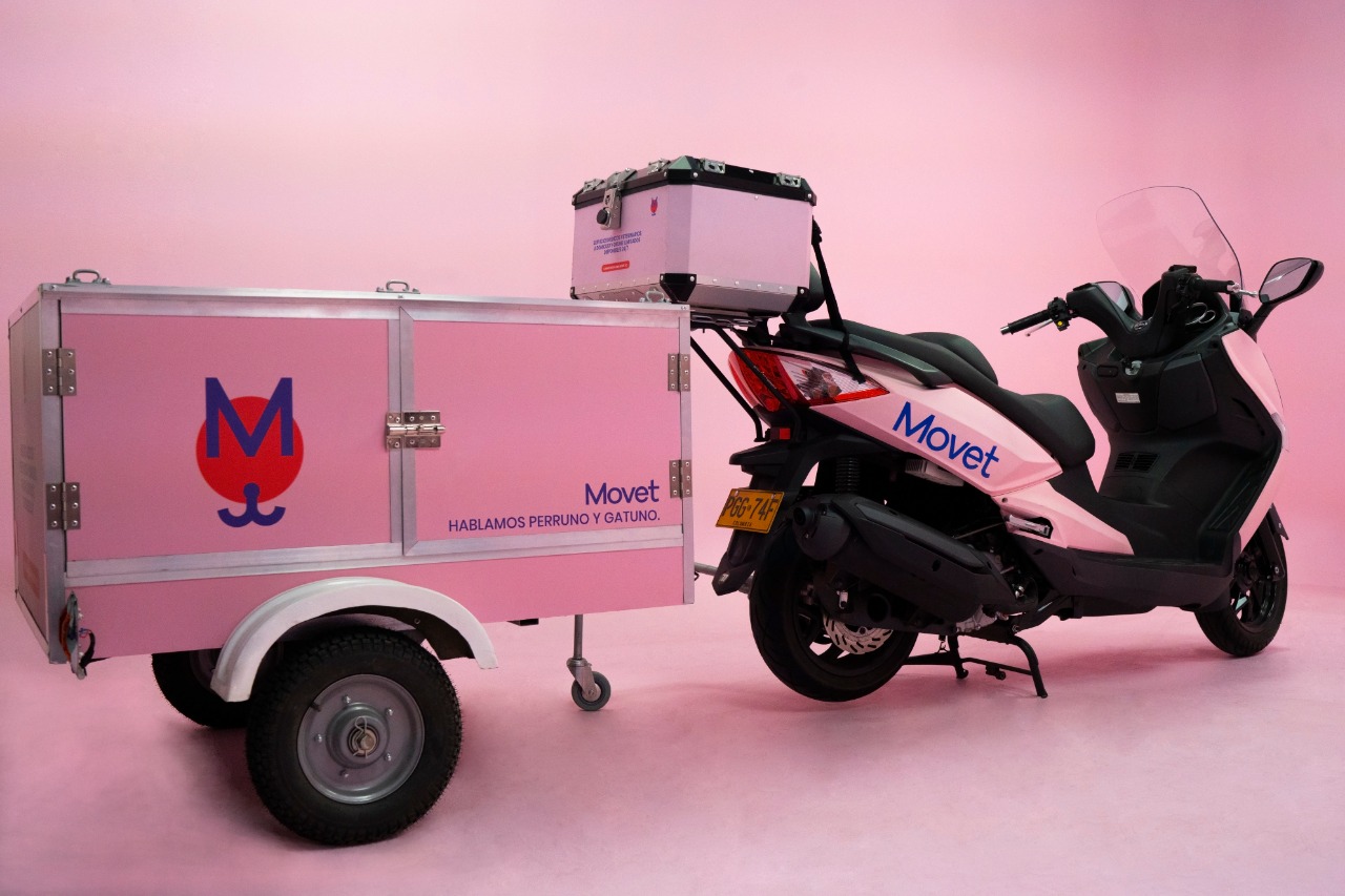 Servicio a domicilio para perros y gatos