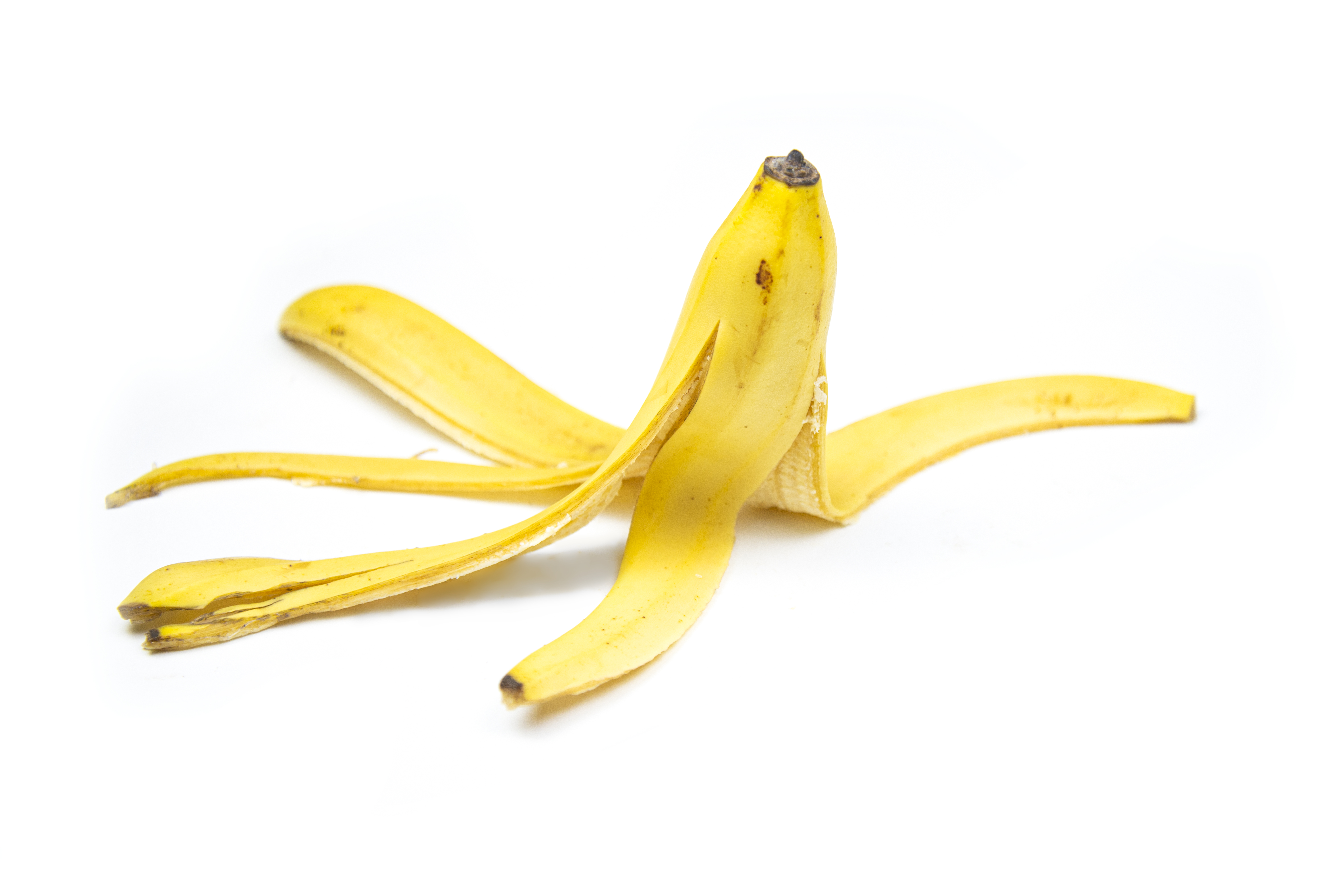 Cáscara de banano: así se puede aplicar en la piel para reducir arrugas y  ojeras