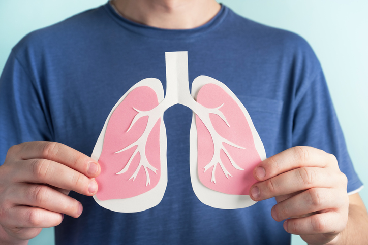 Los pulmones permiten la respiración y oxigenan la sangre. Getty Images.