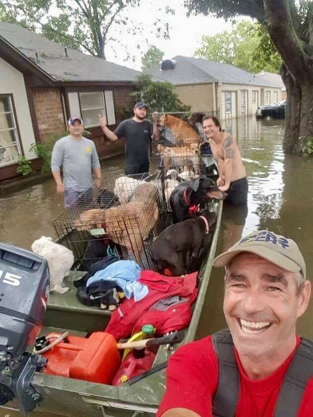 Rescatan perros en Houston