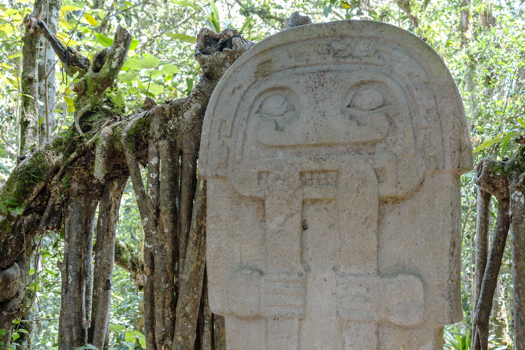 En San Agustín se puede desarrollar diversas actividades.