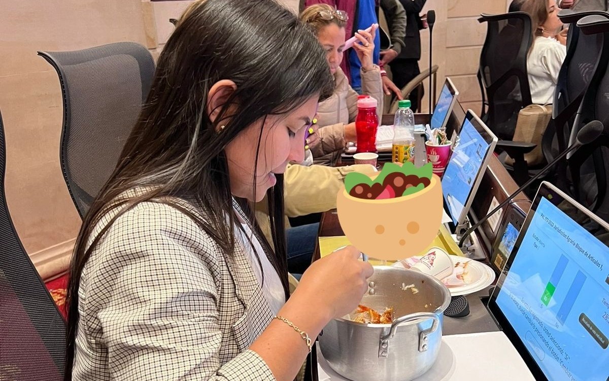 Karen Manrique, representante a la Cámara.