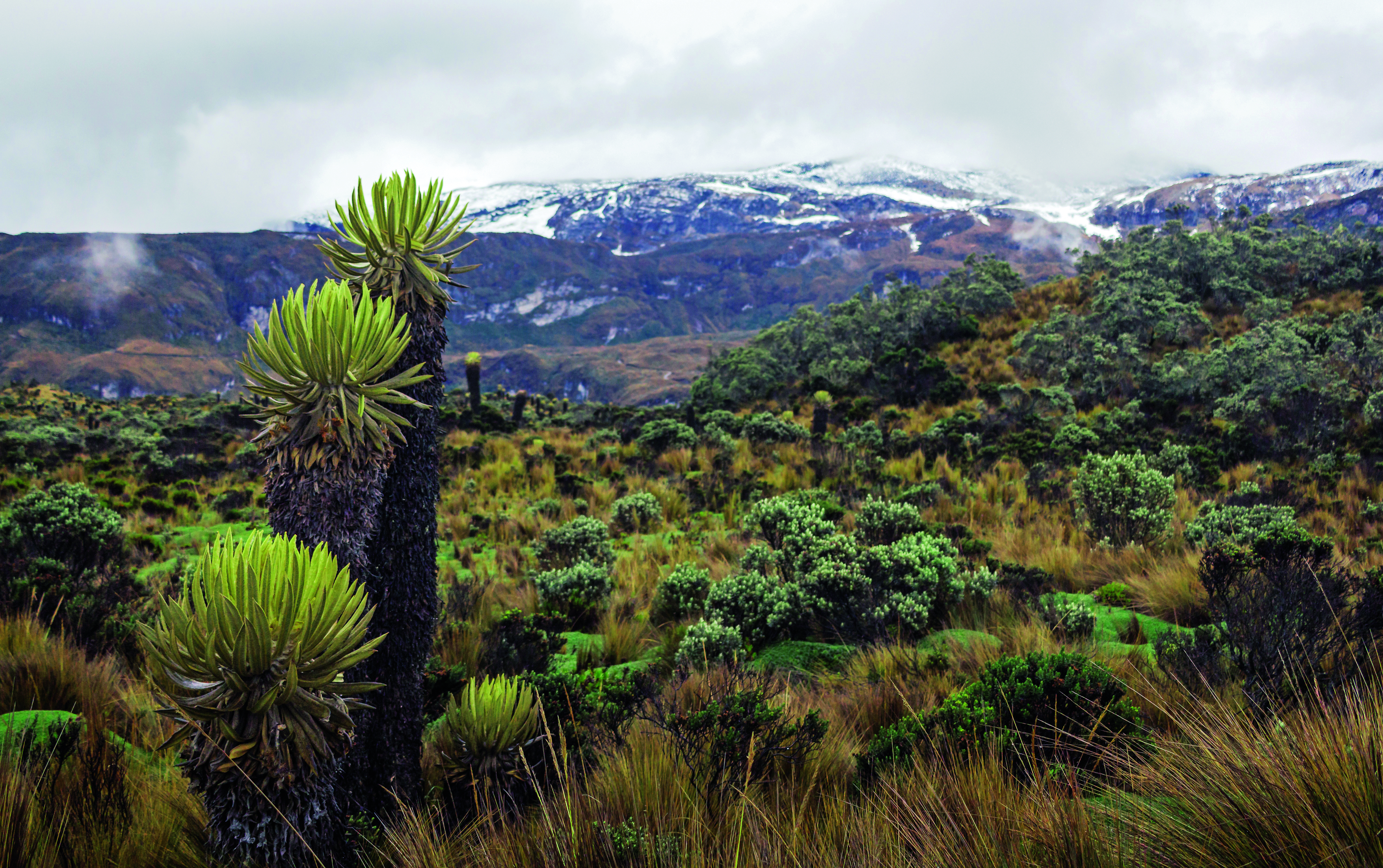 ¿Cuál es el balance de la estrategia nacional para la descarbonización en Colombia?