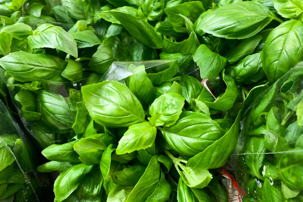 La albahaca se relaciona con buena suerte y prosperidad.