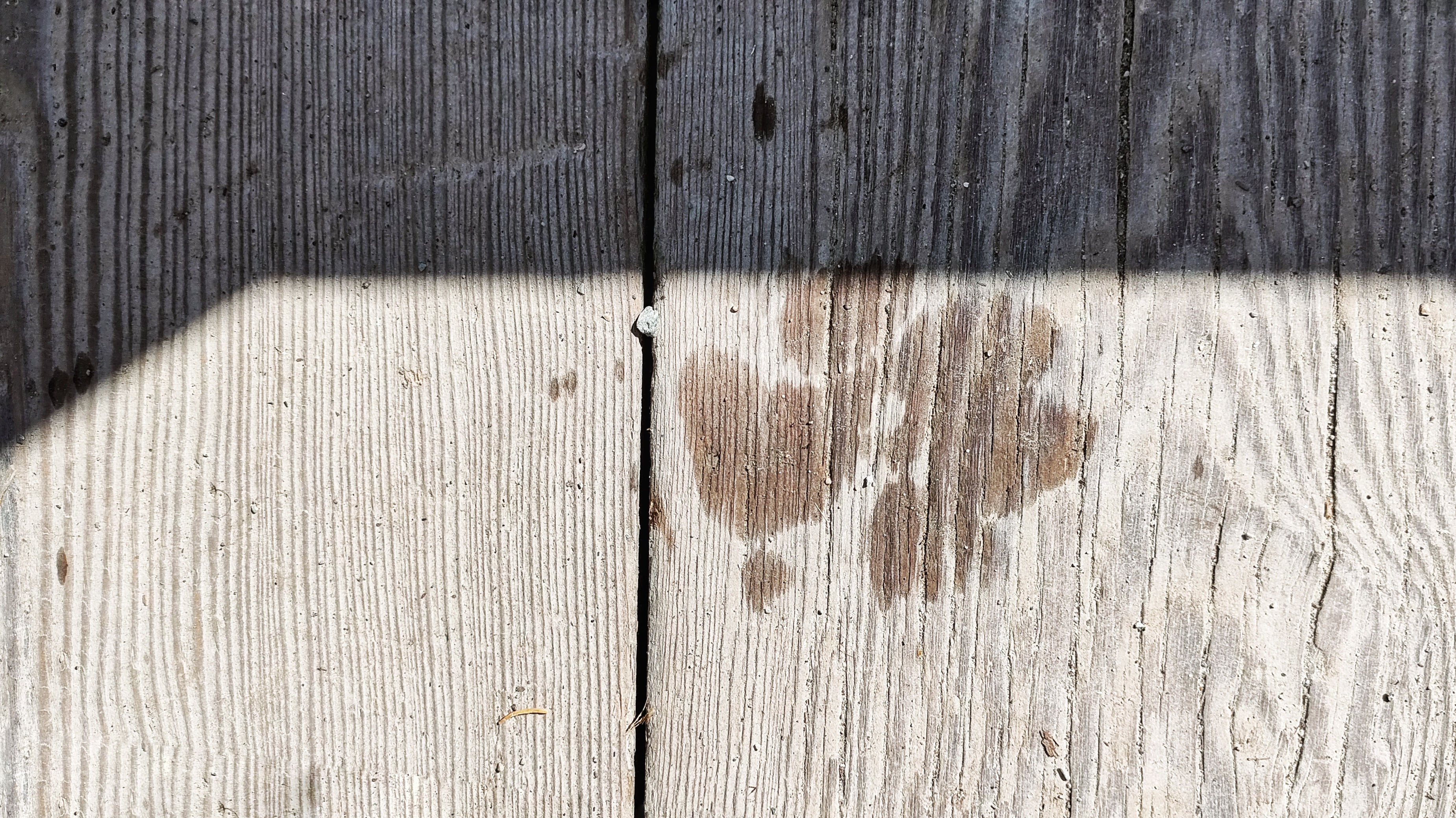 La madera es un material higroscópico, lo que significa que puede absorber y liberar humedad del ambiente.