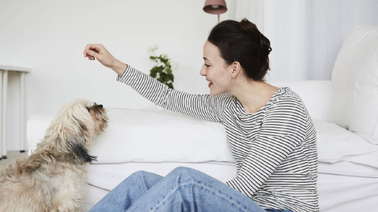 Expertos canadienses de la Universidad de British Columbia hicieron una aproximación.