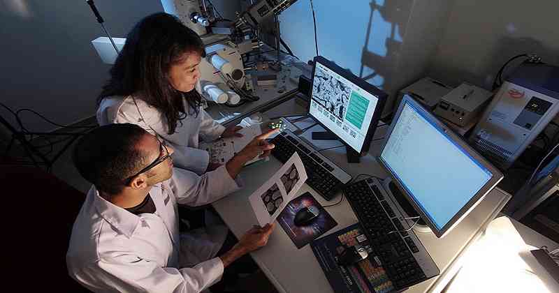 2. La importancia de las prácticas profesionales: es indispensable actualmente que los estudiantes experimenten el mundo laboral desde el principio, a través de programas como las pasantías y prácticas profesionales. Además, el WEF recomienda acciones como la participación del sector privado en la formación del profesorado o la tutoría en el lugar de trabajo. Foto 123RF