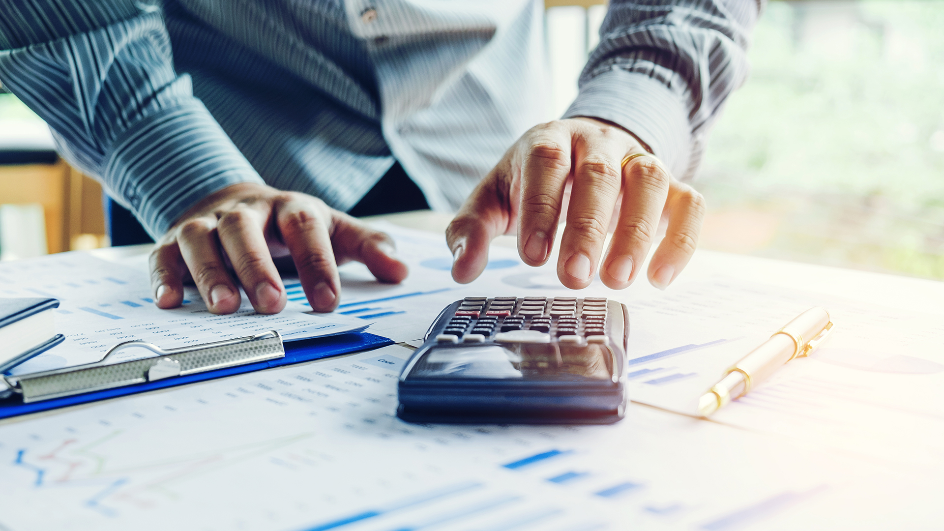 NO USAR, USO EXCLUSIVO MEJOR COLOMBIA, Contenido Porvenir