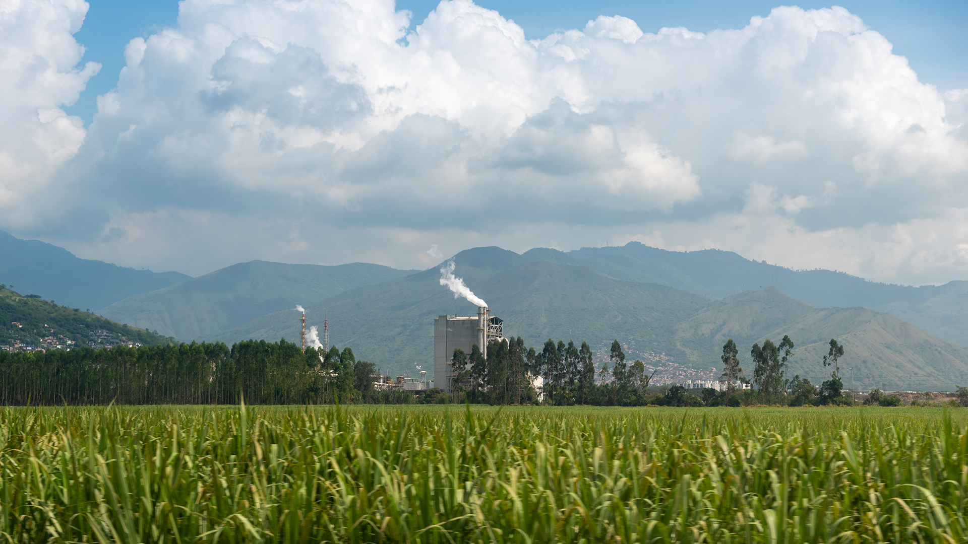 Especial Pacífico, Análisis
