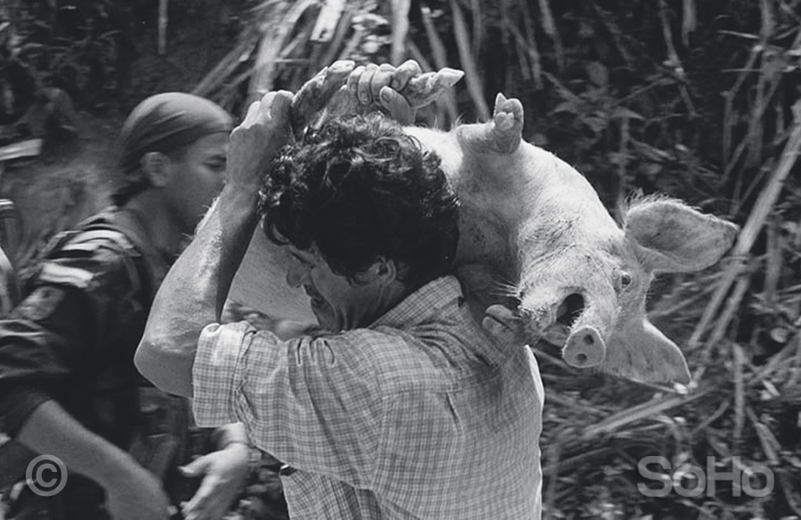 En enero de 2003, los guerrilleros de las Farc asesinaron a 17 campesinos, lo que obligó al desplazamiento de la comunidad de las veredas Dos Qubradas y La Tupida, en San Carlos, Antioquia. Los hombres huyeron con gallinas y cerdos.