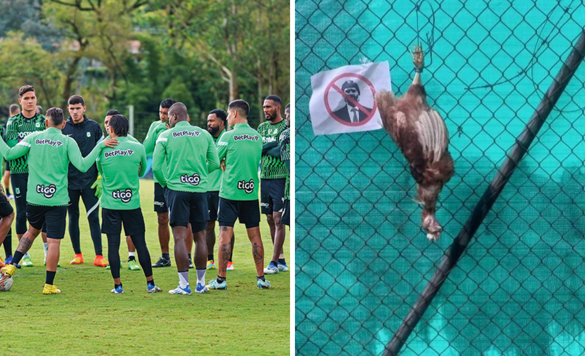 Hinchas de Nacional piden la salida de directivo con gallinas muertas.