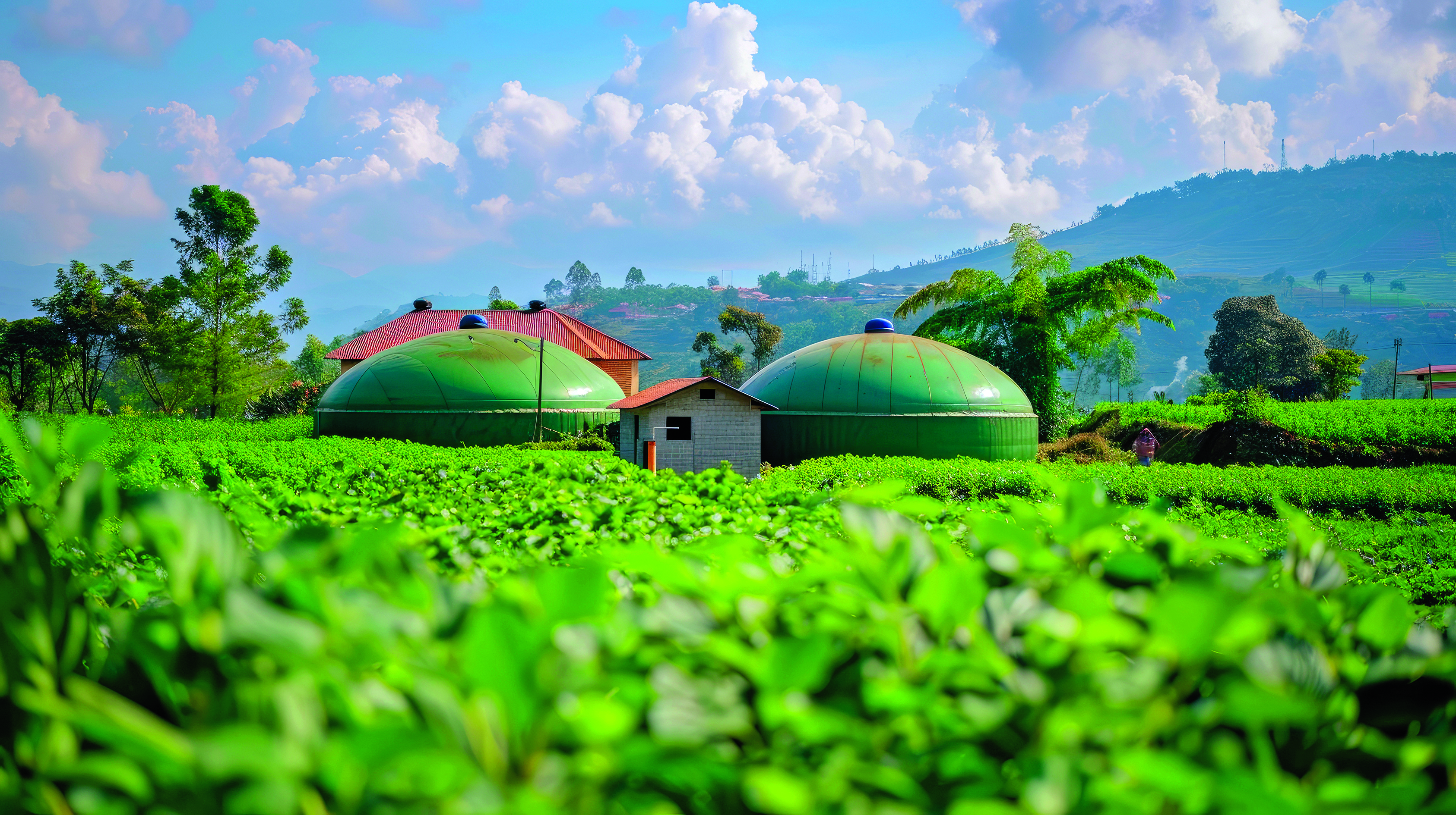 Edittorial Biodigestores en fincas, Semana Sostenible