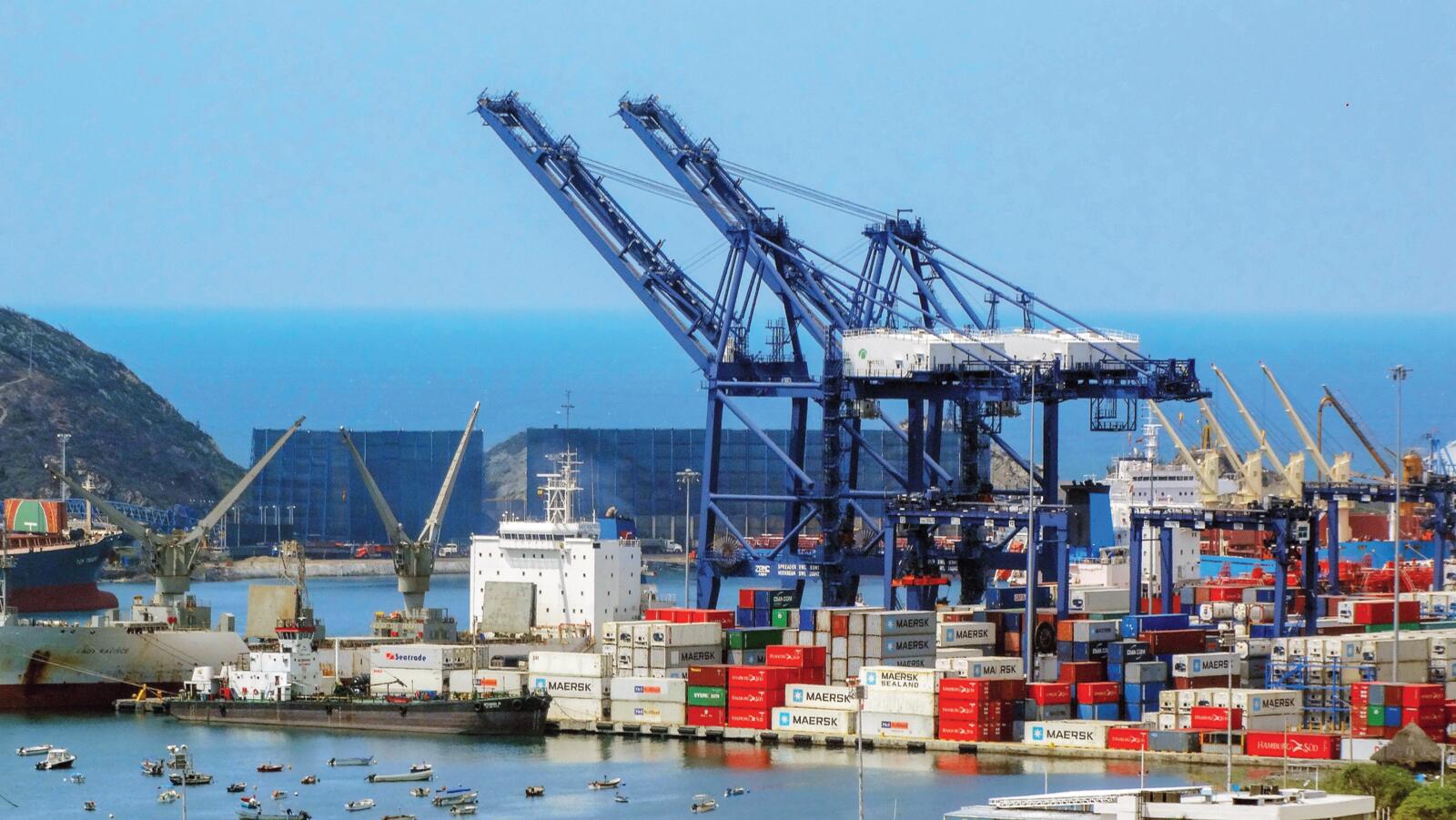 El puerto de Santa Marta es de vocación agrícola. De aquí sale banano, aguacate y café, entre otros productos, principalmente a Europa y Estados Unidos.