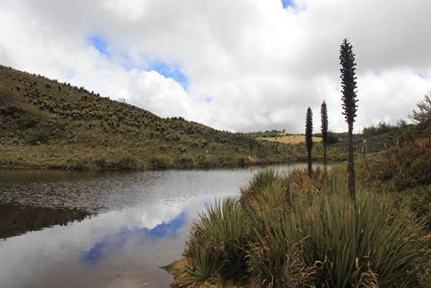 Grupo Río Bogotá