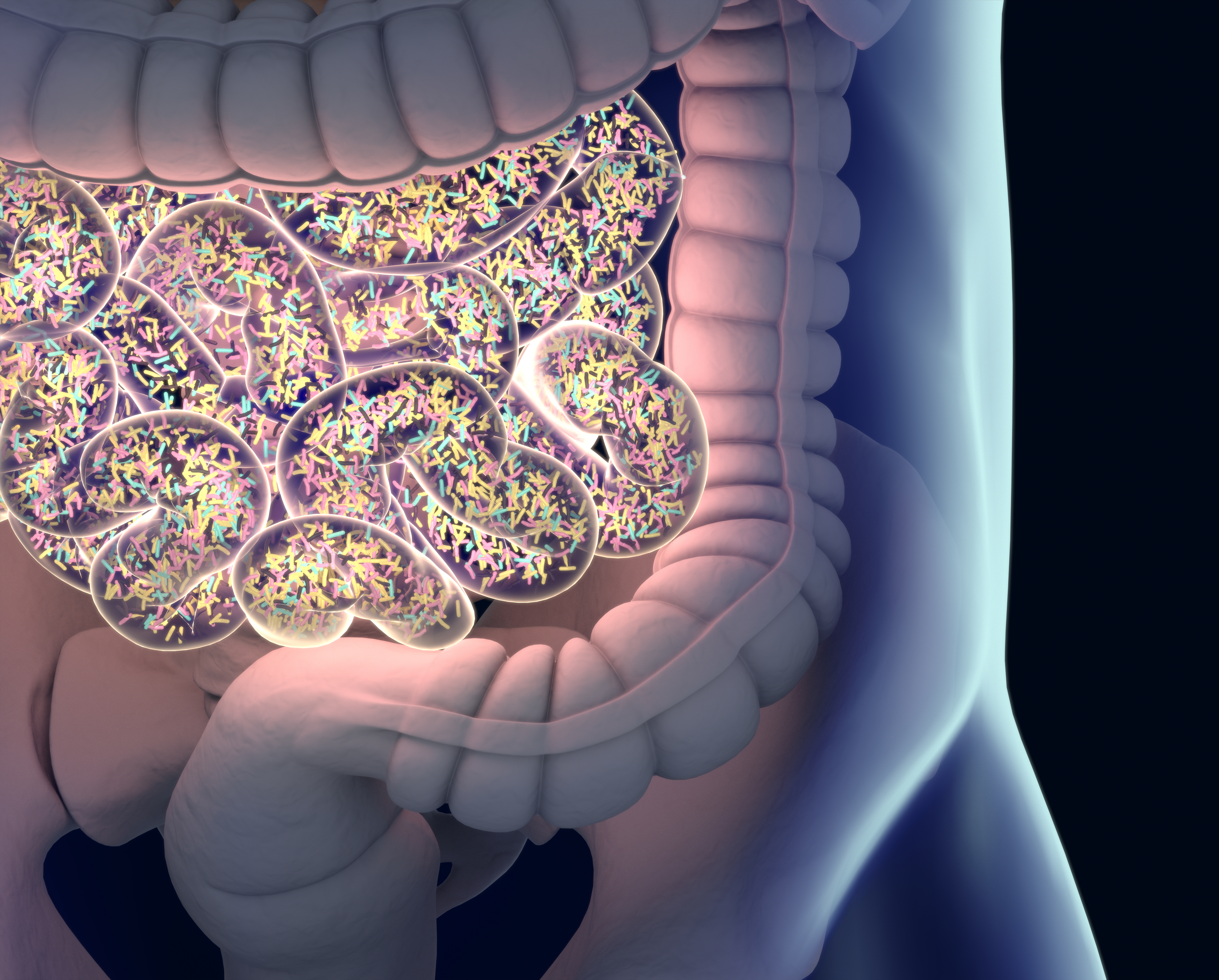 Un plan de alimentación saludable puede mejorar la microbiota intestinal.