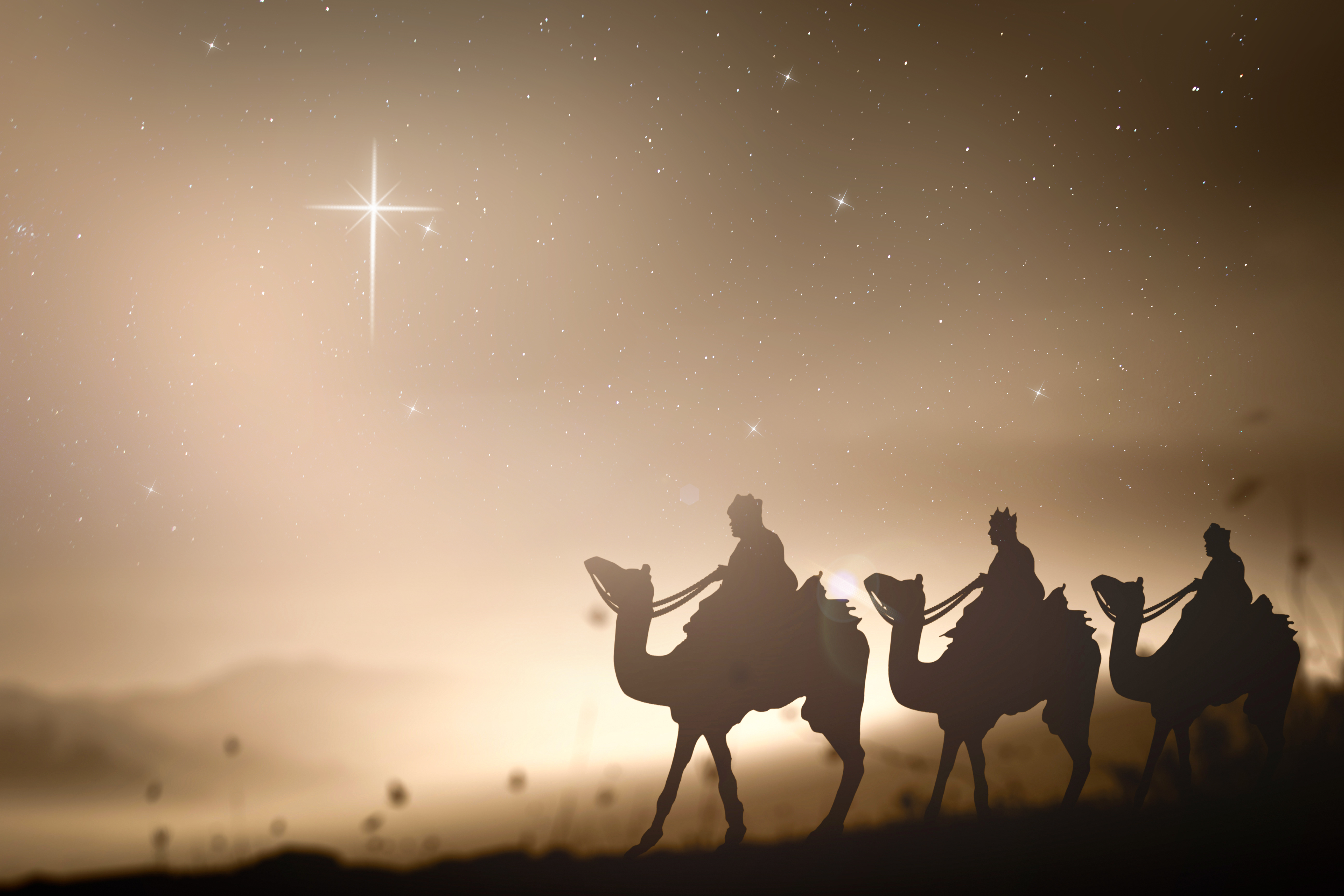 Prophecy magi and his friend with three camel on desert was going to bethlehem city in christmas eve