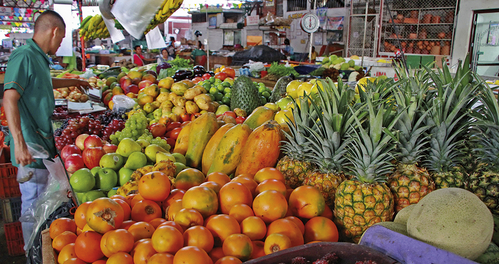  Los alimentos se han convertido en el principal impulsor de la inflación en el país. El aumento en los precios de la papa, la carne de res, los huevos y la leche,principalmente, fueron determinantes. En diciembre la inflación de alimentos llegó a 17,23 por ciento.
