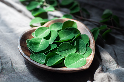 Moringa, beneficios.