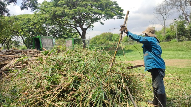 Esta intervención fue en la zona aledaña al río Cali que pasa por el norte de la ciudad.
