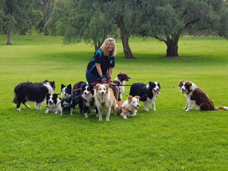 BCOSA World Record Attempt