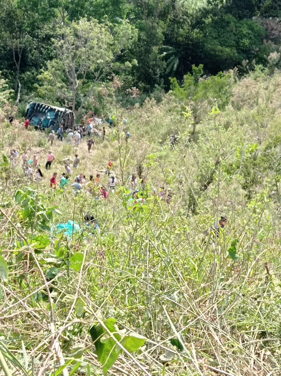 Al menos 5 menores murieron en el accidente.