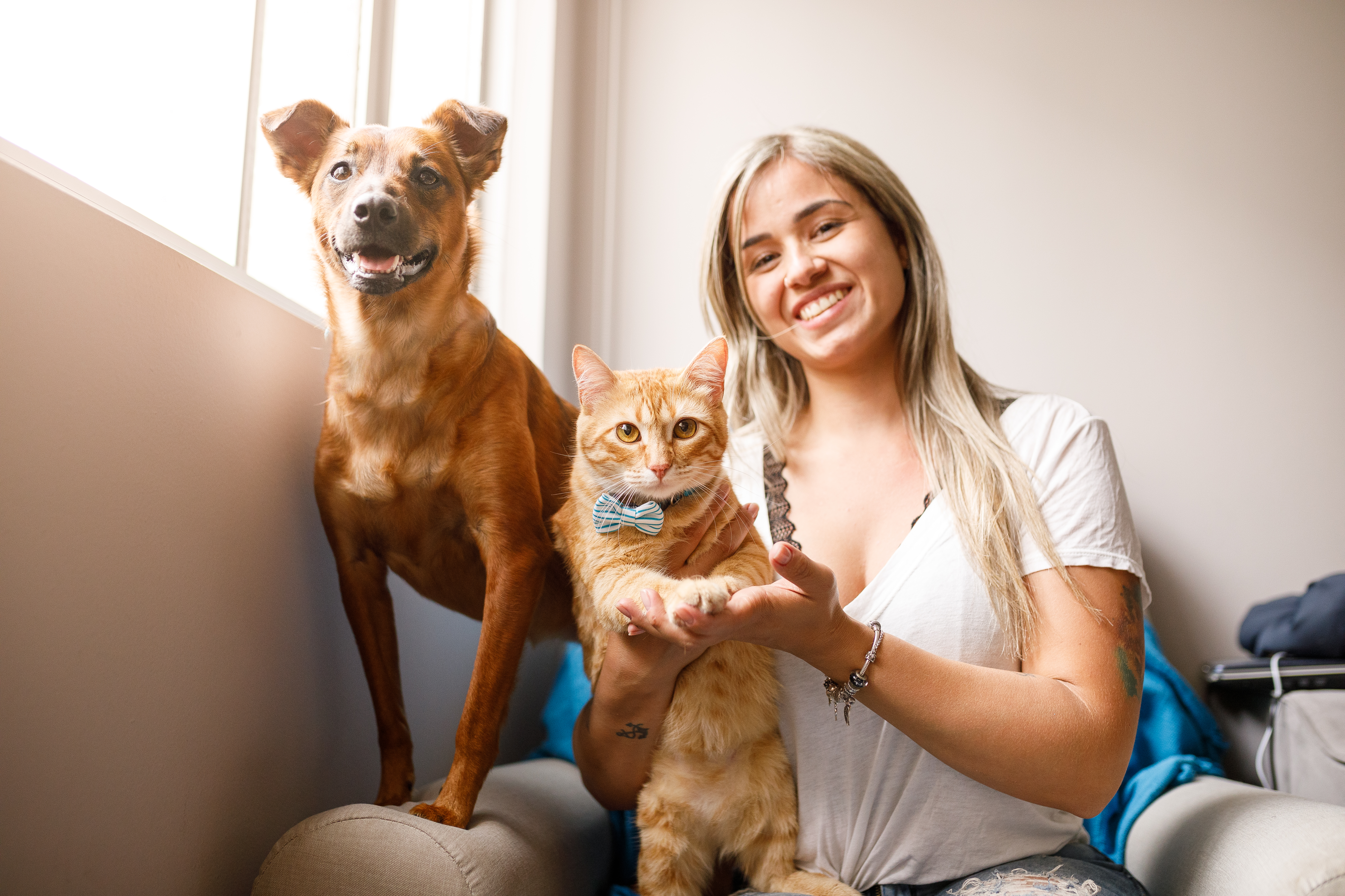 Para adoptar a un animal hay que ser responsables. Getty Images.