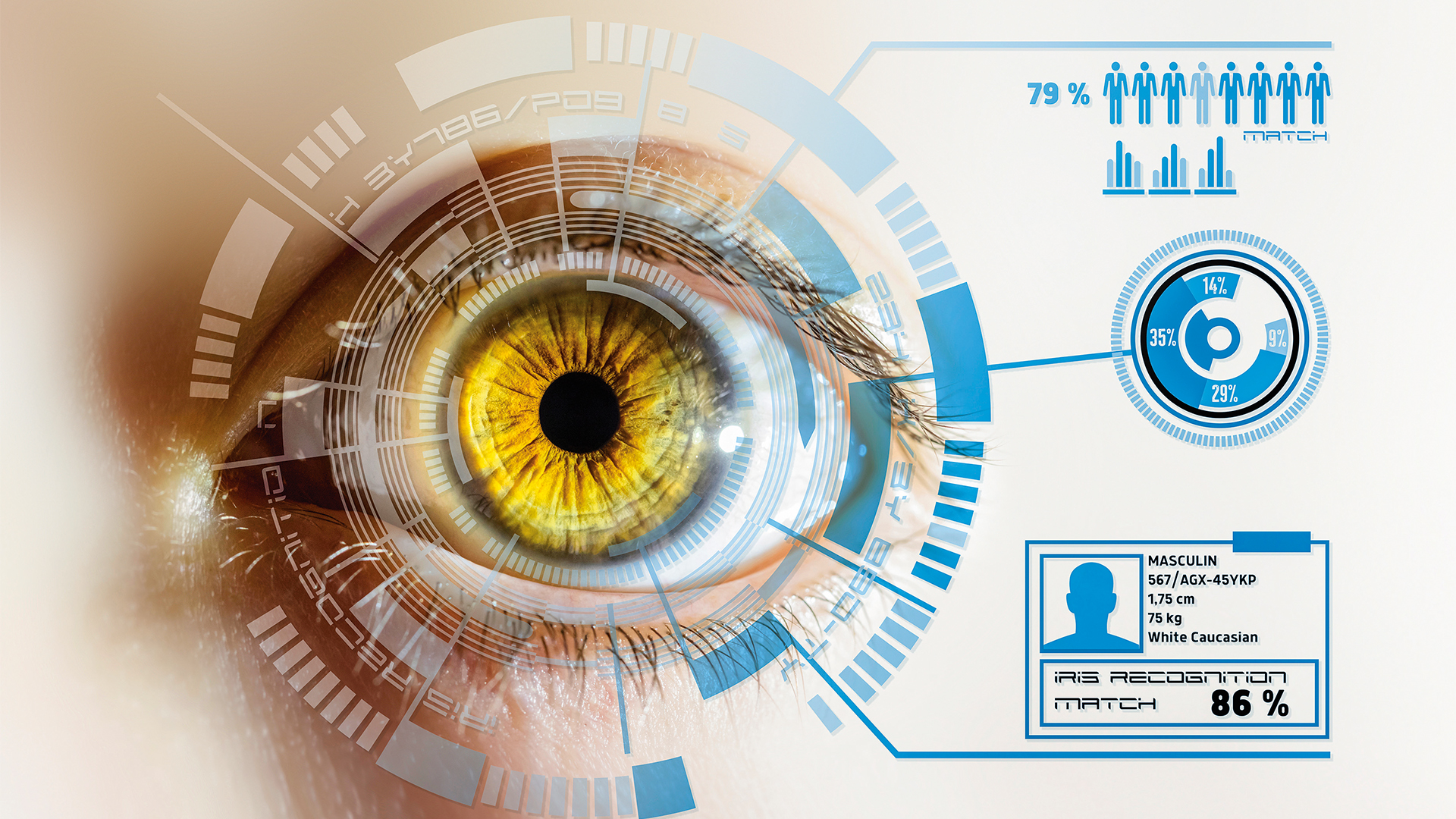 Especial Seguros, Seguros a la medida