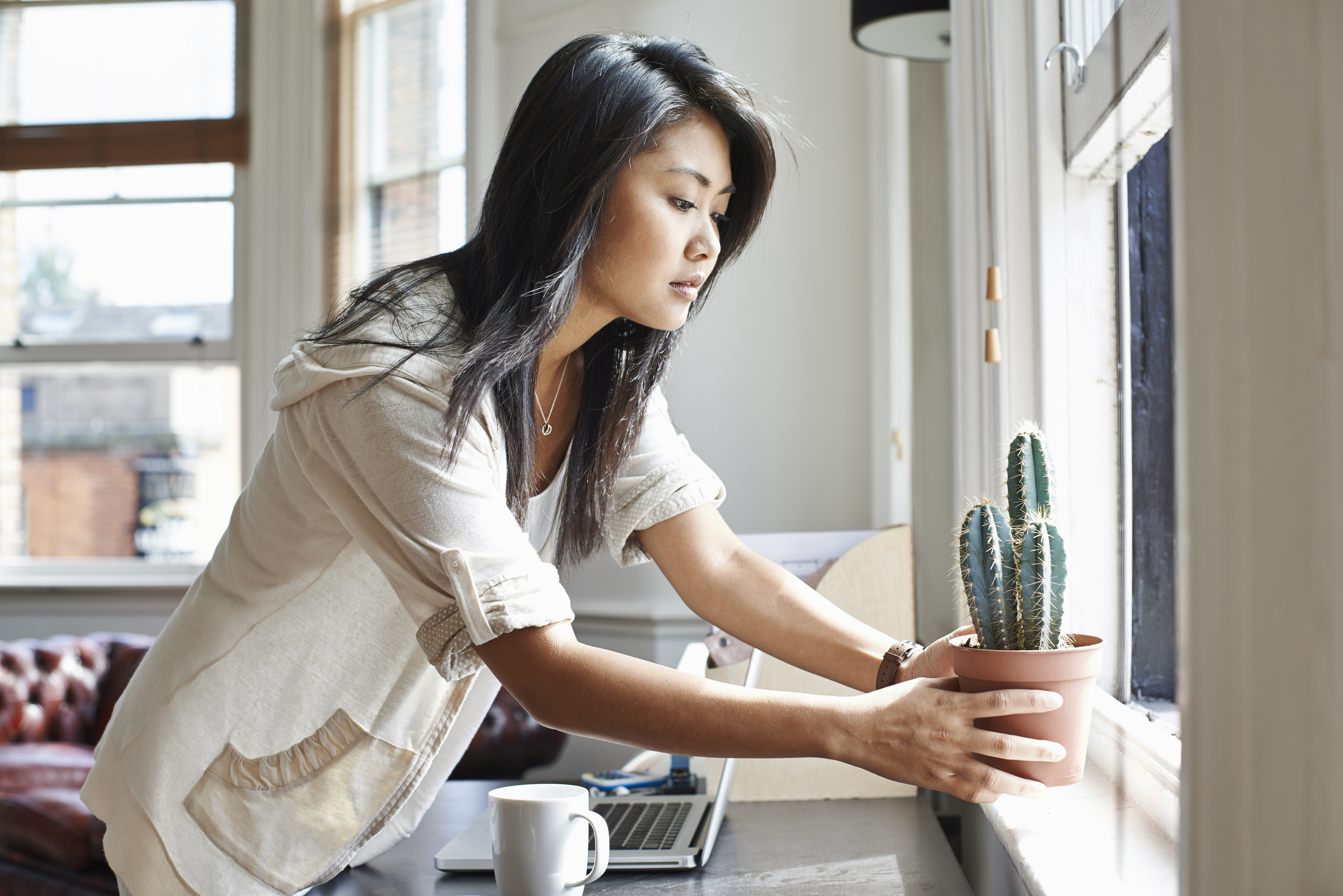 El enfoque del Feng Shui en los cactus: Se revela cómo lograr un ambiente apacible en el hogar mediante su ubicación estratégica.