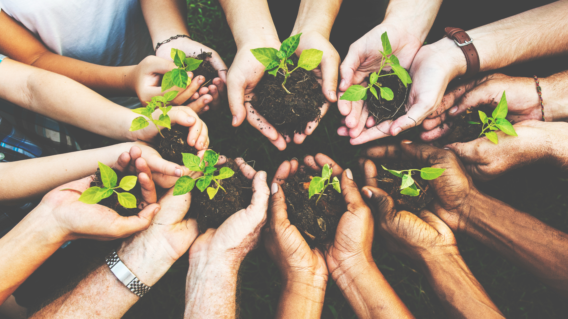 La Federación Nacional de Departamentos trabaja para fortalecer el desarrollo regional y mejorar la calidad de vida de los colombianos en todos los territorios.