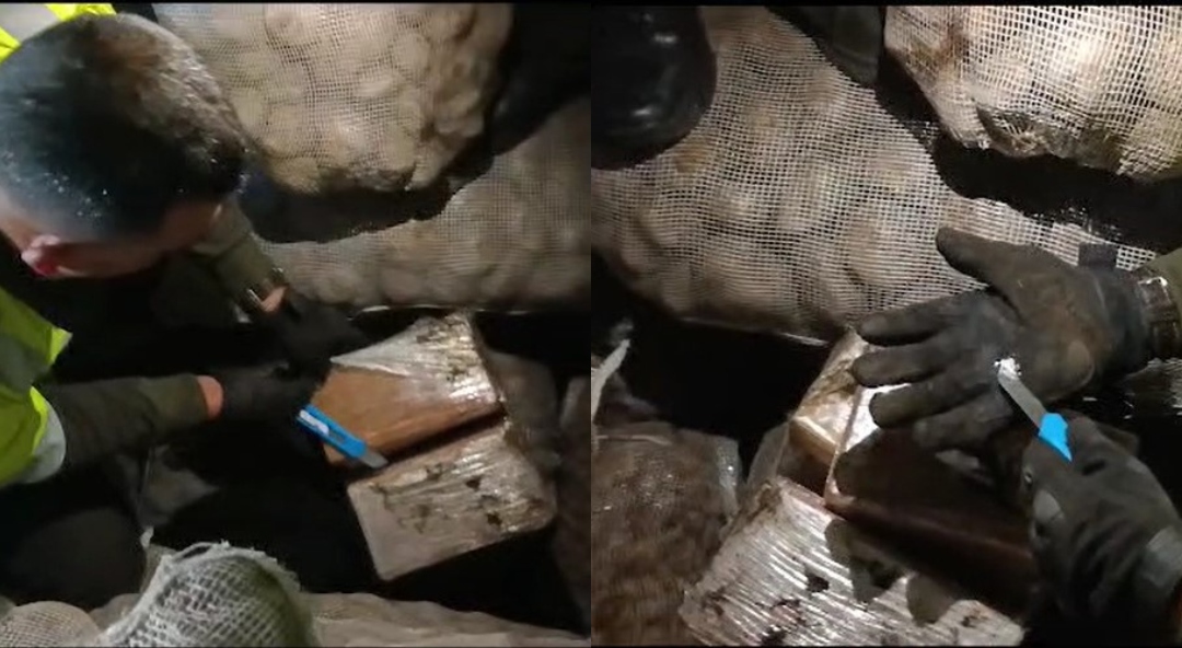 En el procedimiento fueron hallados más de una tonelada de clorhidrato de cocaina mediante la modalidad de ocultamiento, en 892 paquetes envueltos en plastico vinipel, los cuales contenían la sustancia.