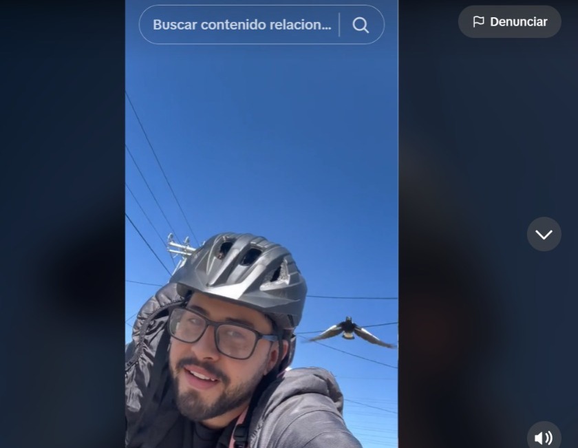 Colombiano atacado por un ave