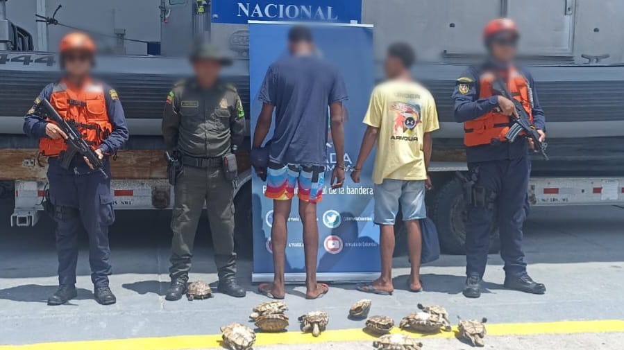 Capturado fauna silvestre