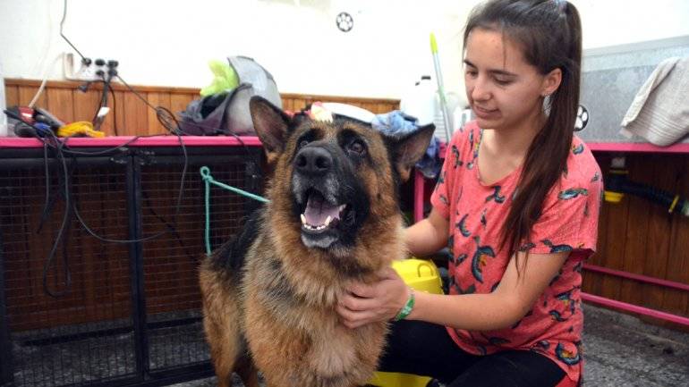 María Inés López se muestra con las mascotas que tiene bajo su cuidado en su propia casa.