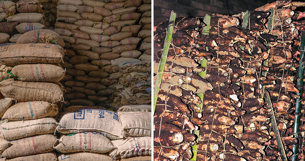    Con expertos químicos les quitaban el olor de la cocaína a los cargamentos, con el fin de que los perros no la detectaran.  