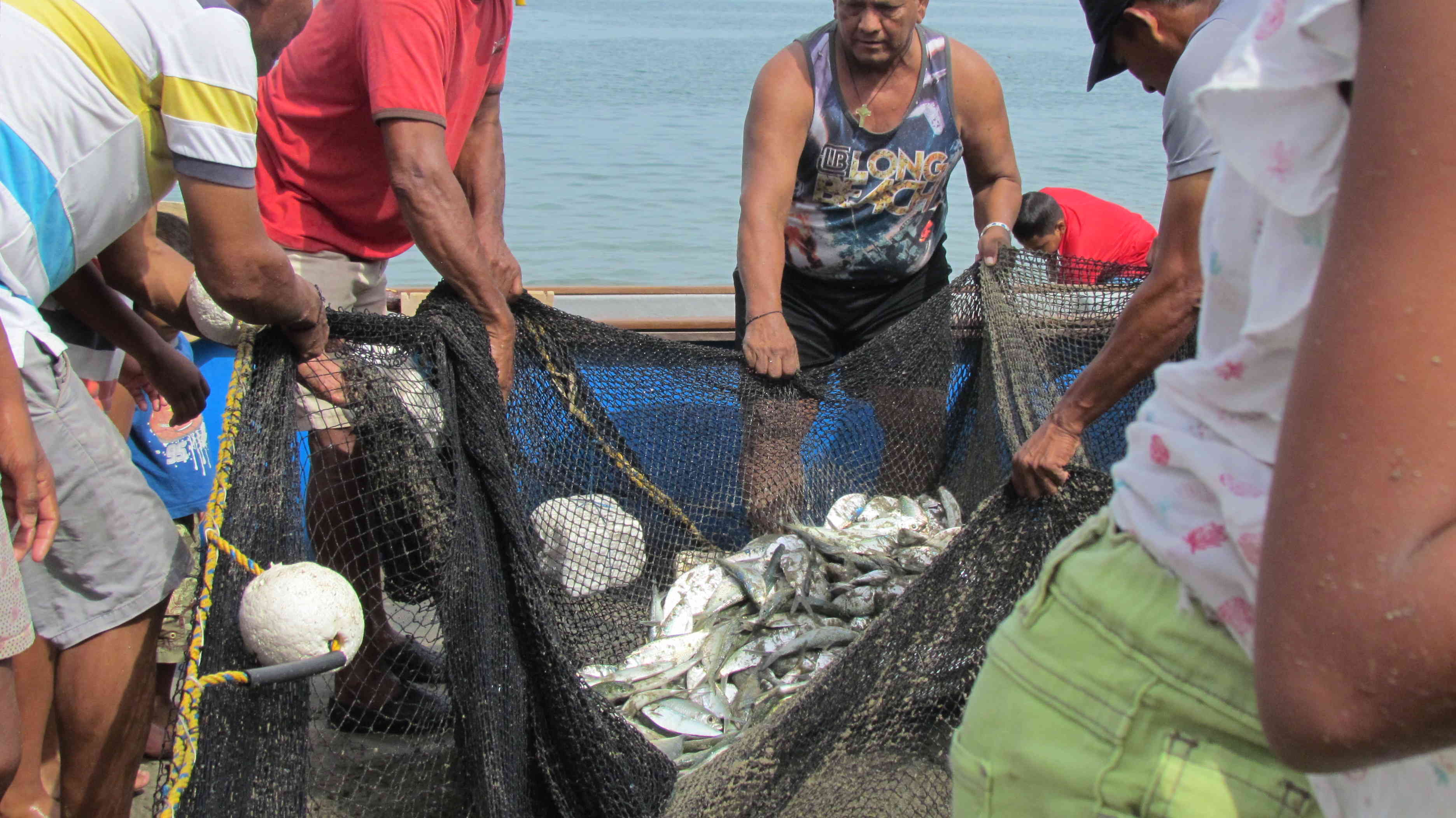 Turismo Colombia: sin turistas el mar salva a Taganga del hambre | Coronavirus