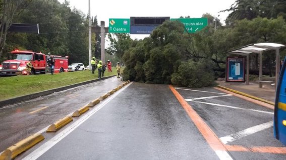 Árbol caído sobre carrera 7 con calle 97 Bogotá- Foto: tomada de Twitter @javiercontrerasa