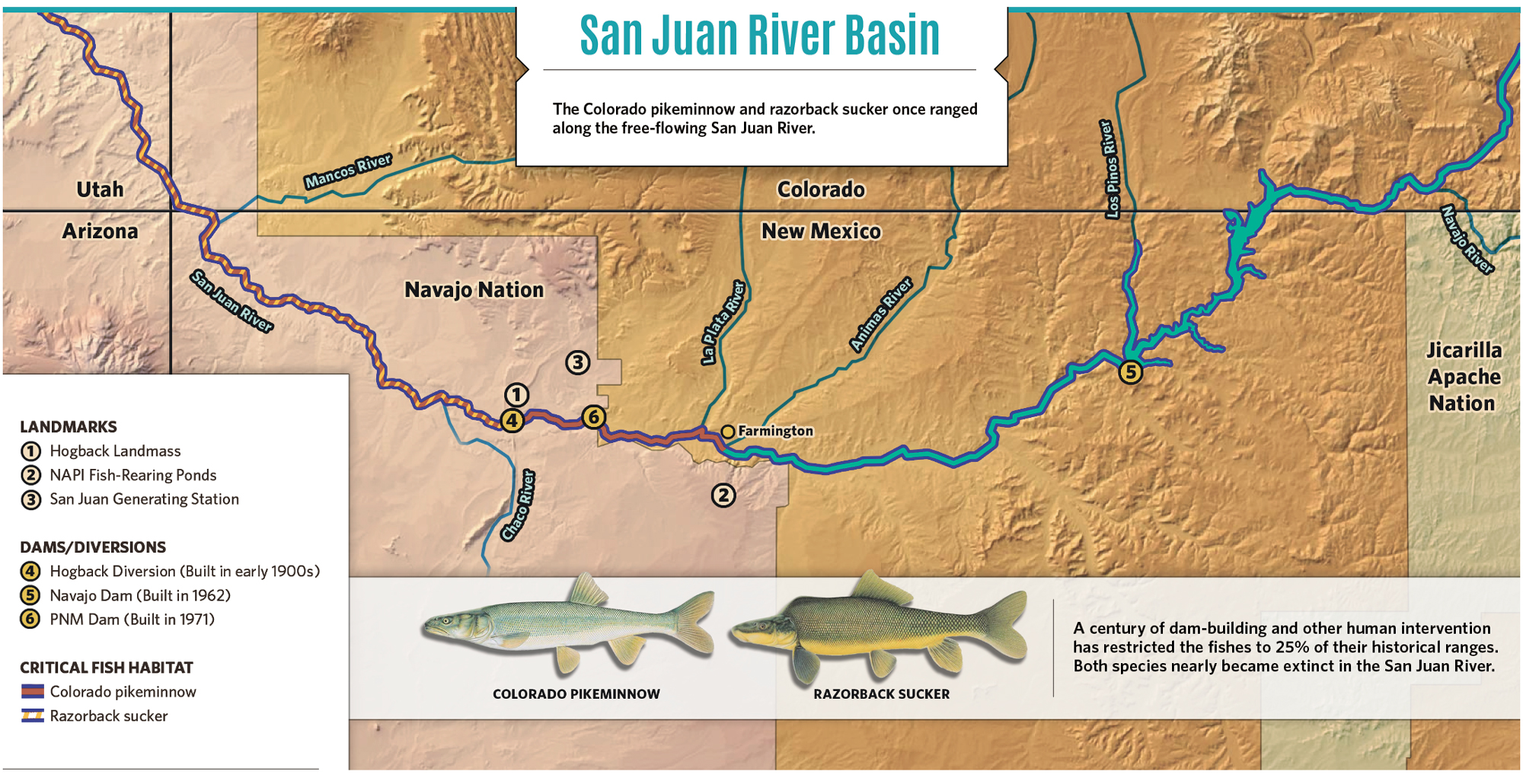 Replenishing the San Juan River