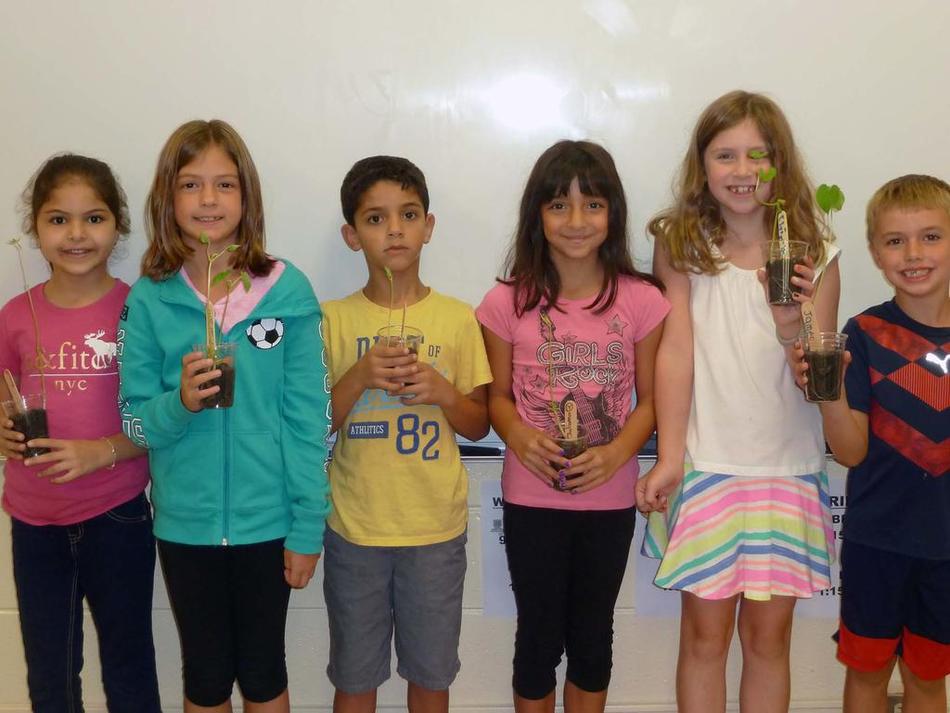 Students study germination at Arbury Hills School in Mokena image