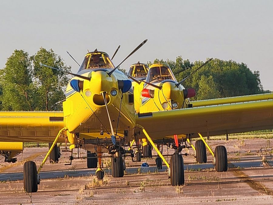 Spongy Moth Spraying to Begin June 22 - Village of North Aurora