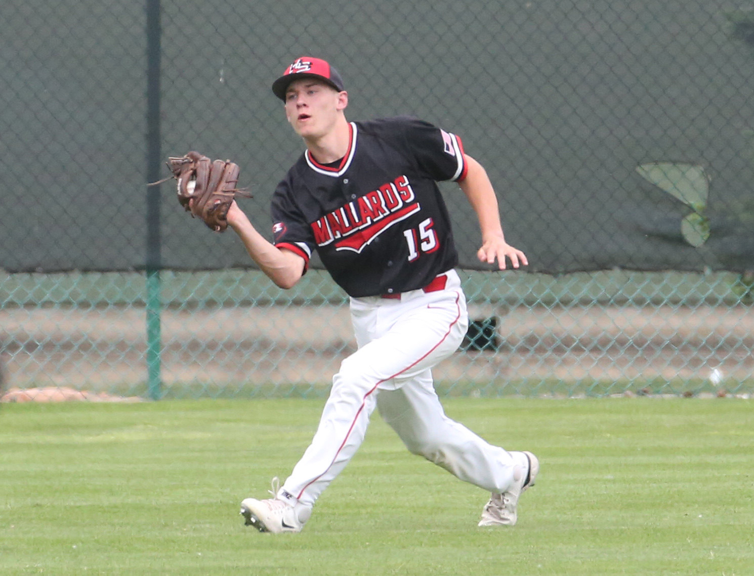 IHSA baseball: Top 10 players in the Peoria area