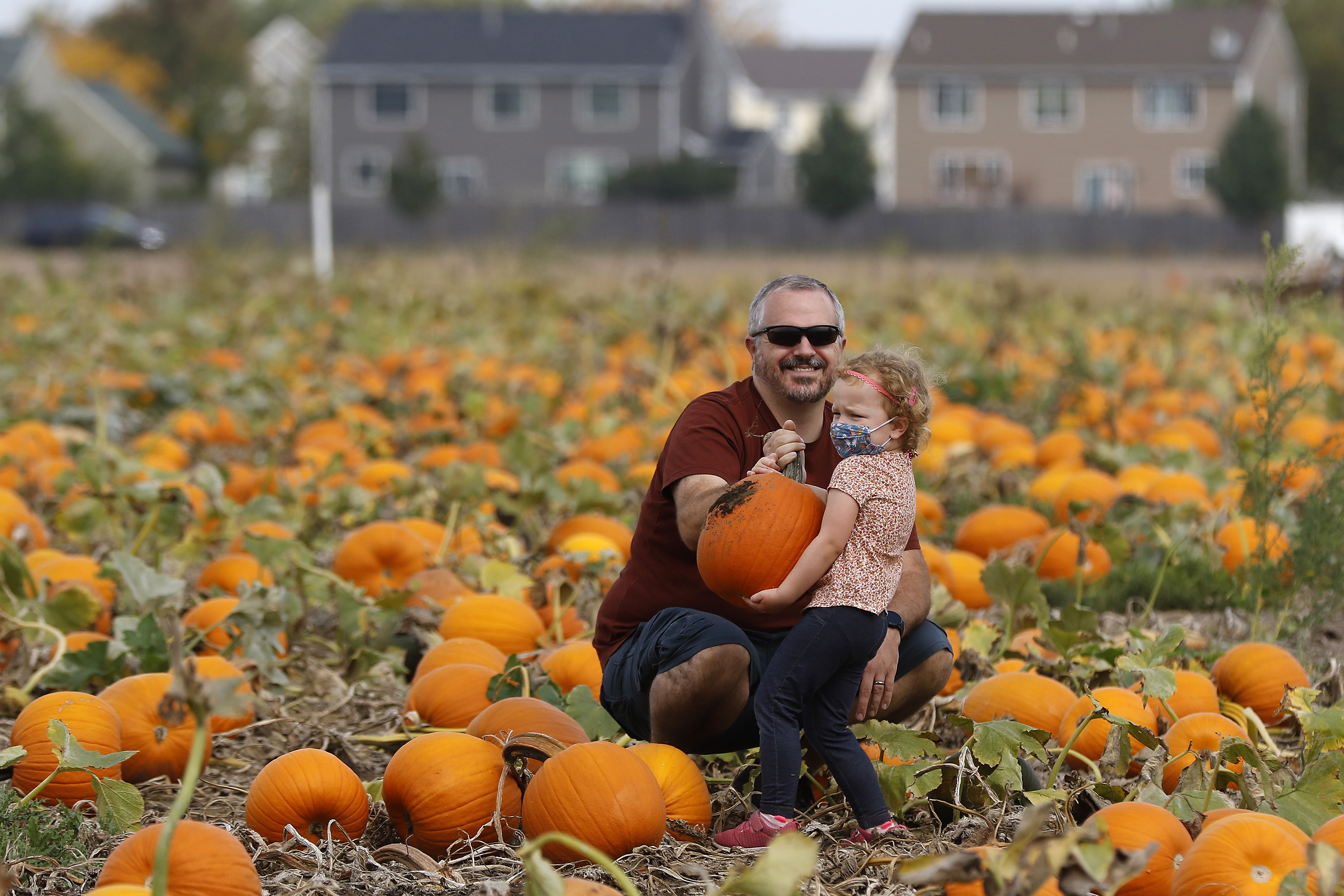 pumpkin patch sandwich il