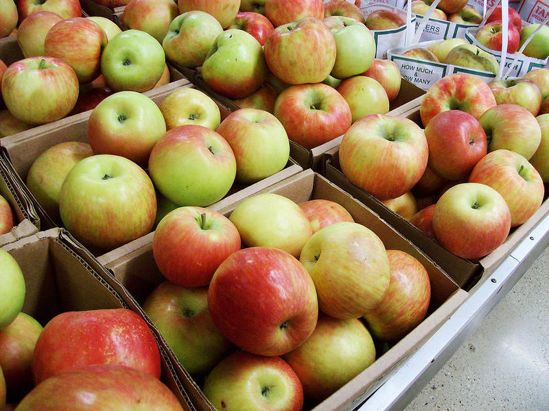 Apples, Apples, Apples! It's All About Apples This Week - Vince's Market -  With 4 Locations to Serve You!
